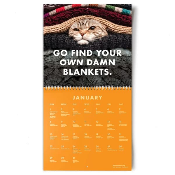 Sjov Kat Kalender 2023 Kalenderkunst Månedskalender
