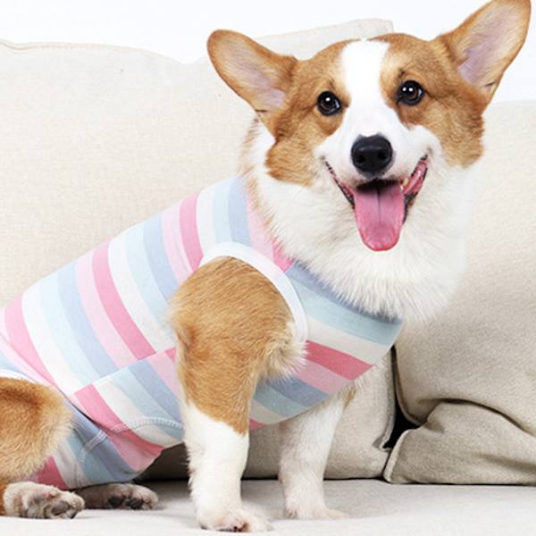 Lemmikkieläinten vaatteet Hengittävät koiranvaatteet juk selkäpainike Design Raidallinen painatus Pink Stripes M
