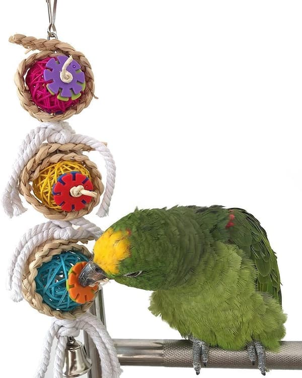 Burleke for undulater, papegøyer, nymfeparakitter, conures, dvergpapegøyer