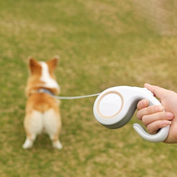 Pet Walking line Indtrækkelig hundesnor HVID 3M