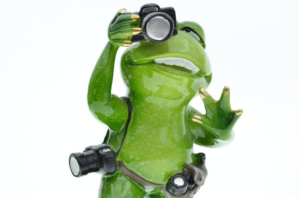 Kreativ trädgård Heminredning Djurfotograf Groda Resin De