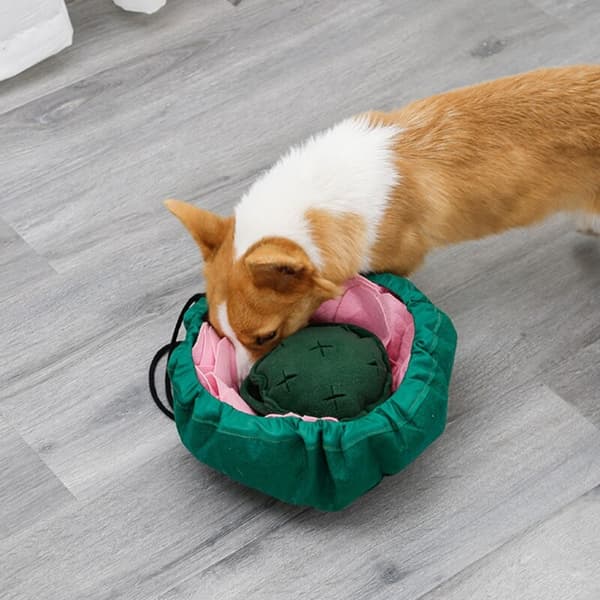 Lotus Shape Snuffle Matta för hund i form av näslukt träningsfilt