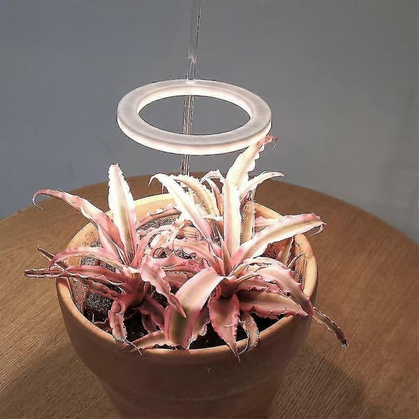 LED-vækstlys Fuld Spektrum Phyto Vækstlampe USB Angel Ring Lampe til sukkulenter, blomsterplanter