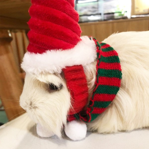 Lizard Tomte Hatt Kanin Withscarf Juldräkt 01