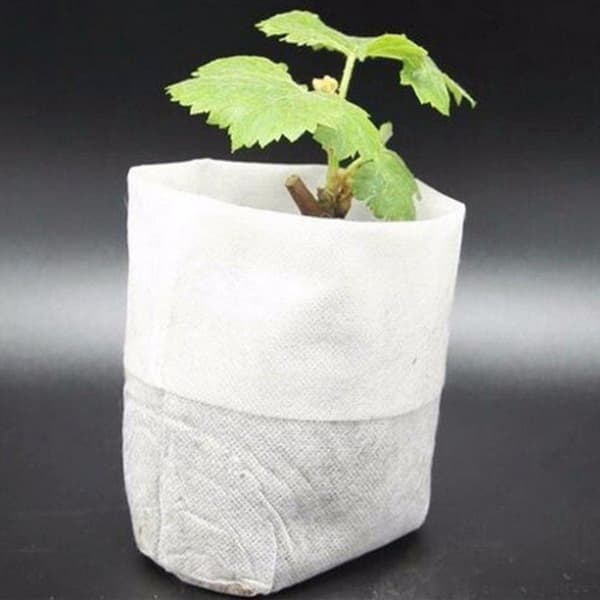 100-Pack - Tomma Fröpåsar / Påsar för Fröplantor - Planta white
