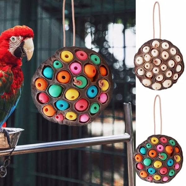 Papegoja födosök leksaker Torkad Lotus Pod Parrot ing Toy Multicolor