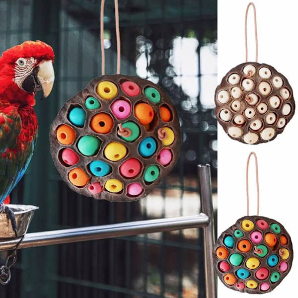 Papegoja födosök leksaker Torkad Lotus Pod Parrot ing Toy White
