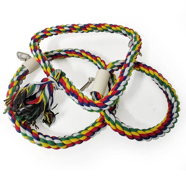 Pet Swing N' Aborre, Medium