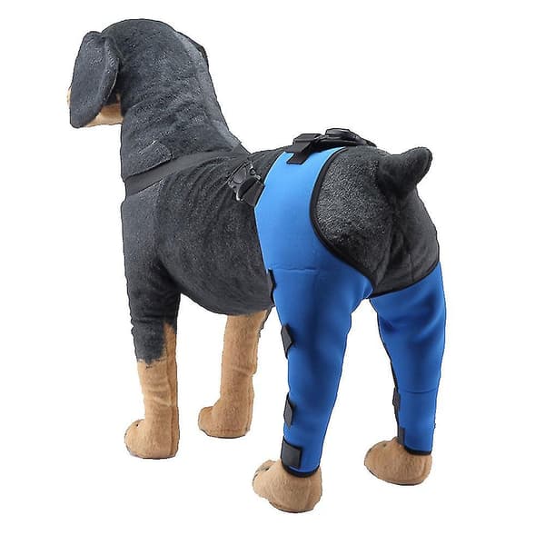 Hundarmbågsskyddsskydd för hundar hund bakbensskydd Justerbart knäskydd för hundar benstöd