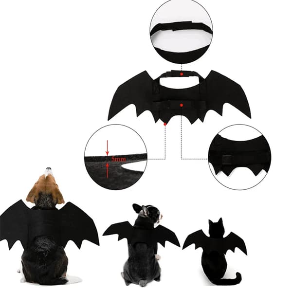Halloween kostym Pet Bat Wings Katt Hund Bat Costume Vingar black small