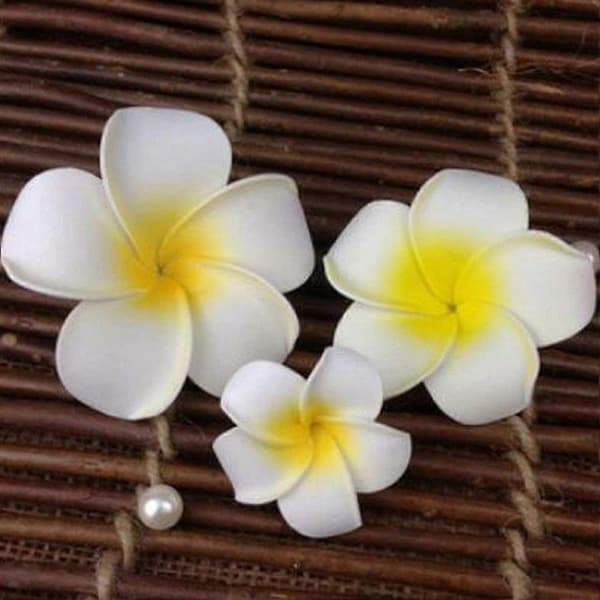3 st Hawaiianska Plumeria Blomma Hårprydnad Hårnål Håraccessoar Maskerad För Bröllop