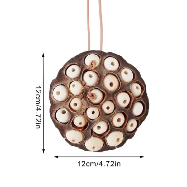 Papegoja födosök leksaker Torkad Lotus Pod Parrot ing Toy White