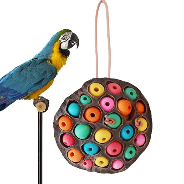 Papegoja födosök leksaker Torkad Lotus Pod Parrot ing Toy White