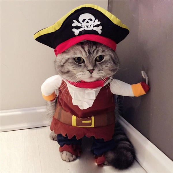 Kostymer Piratkostym Kattkläder Pet Corsair Halloween Piratkostym liten large