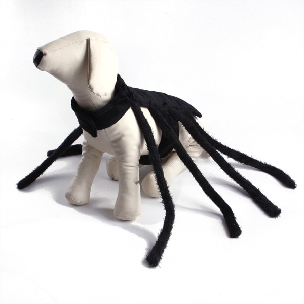 Halloween Mode Kattkläder Spindelkista Husdjur Cosplay black medium