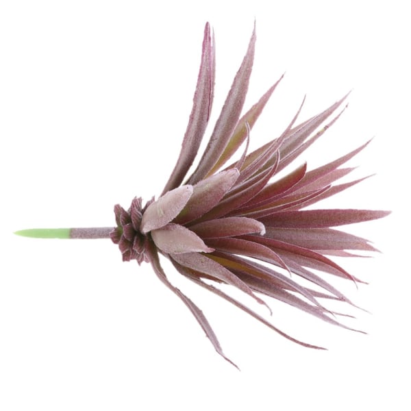 Kunstige sukkulente planter Naturtro blomstergræs Hjemmeplanter Dekor #5