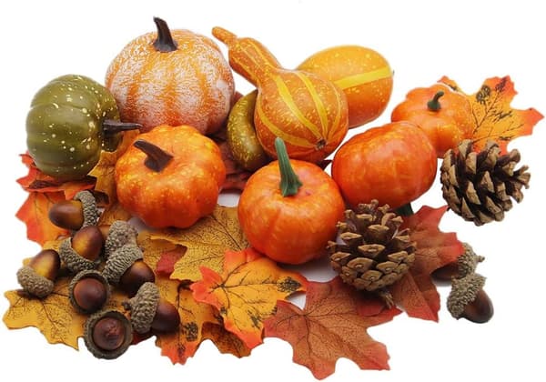 50 Thanksgiving konstgjorda pumpa-hemdekorationsset $50
