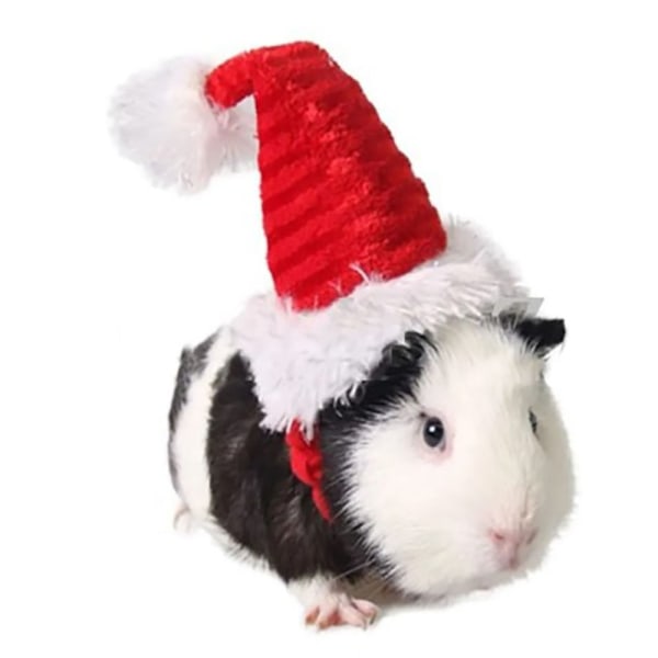 Lizard Tomte Hatt Kanin Withscarf Juldräkt 02