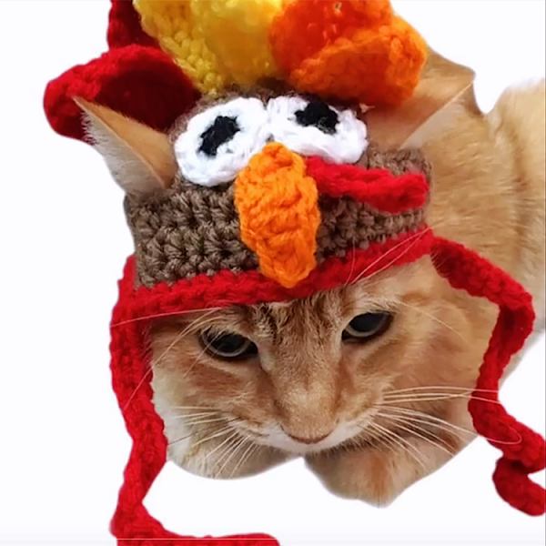 Kattdräkt kalkonhatt Halloween Thanksgiving Party Handgjord Brown S