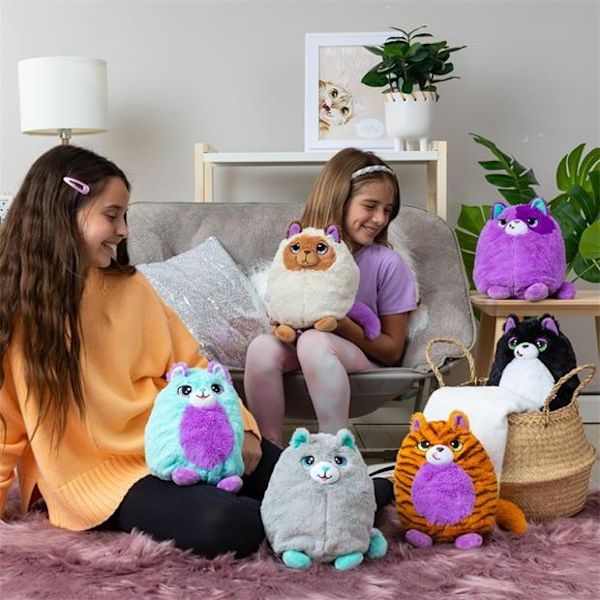 Misfittens Cats Kosedyr Overraskelse blue