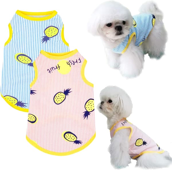 Halloween kostumer til hunde, katte, kæledyr, striber, sjove Dress