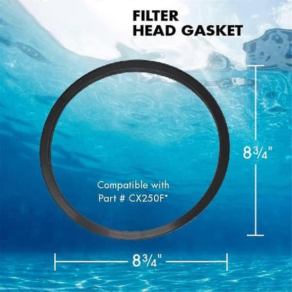 2-pak filterhovedpakning til CX250F filtre poolpumpe reservedele