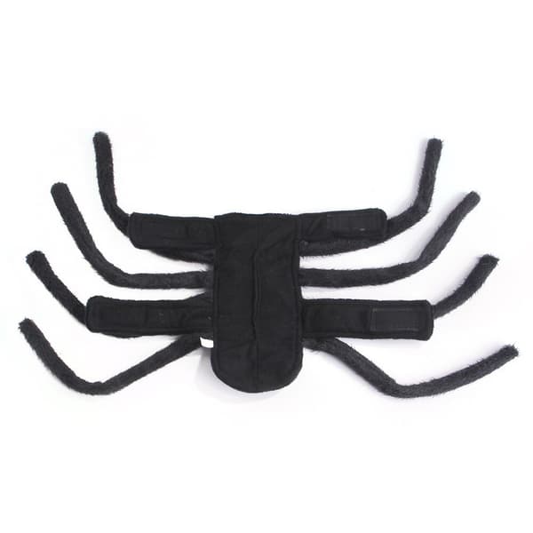 Halloween Mode Kattkläder Spindelkista Husdjur Cosplay black medium