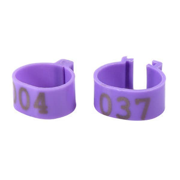 100X 16 mm Clip On Ben Band Ringar för kycklingar Ankor Höns Poultr Red