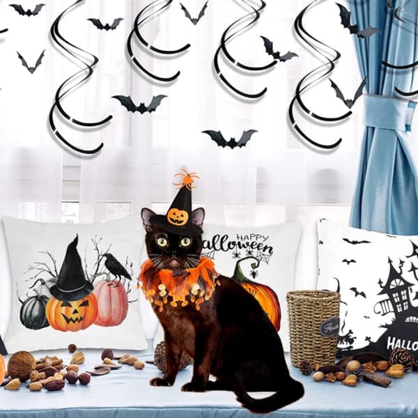 Halloween hatt smekkesett dødninghode mønster katt kappe hatt sett