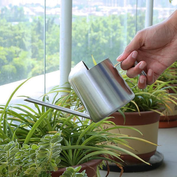 Mini vandkande i rustfrit stål til hjemme- og kontorplanter