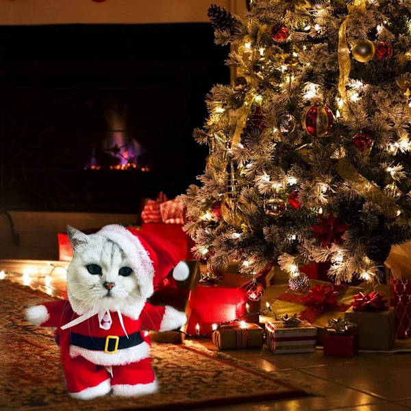 Julemandskostume til hund og kat, tøj til kæledyr