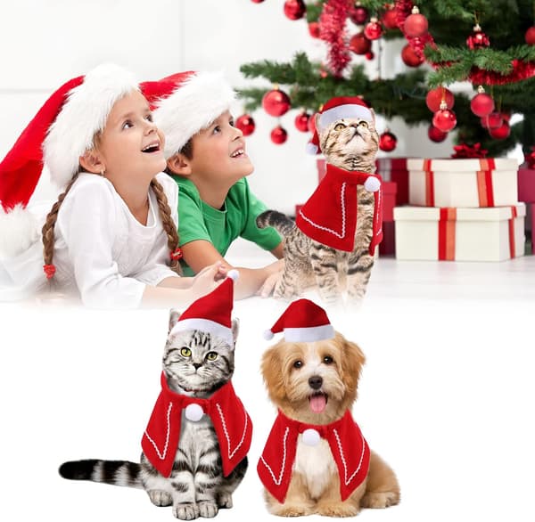 #Julegave til kæledyr, Julekappe med rød julehat til kat#