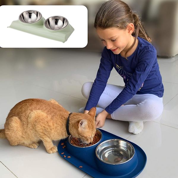 Dress you go Tilted Food Water Bowl för Fransk Bulldog och GREEN