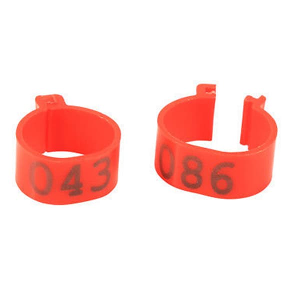 100X 16 mm Clip On Ben Band Ringar för kycklingar Ankor Höns Poultr Red