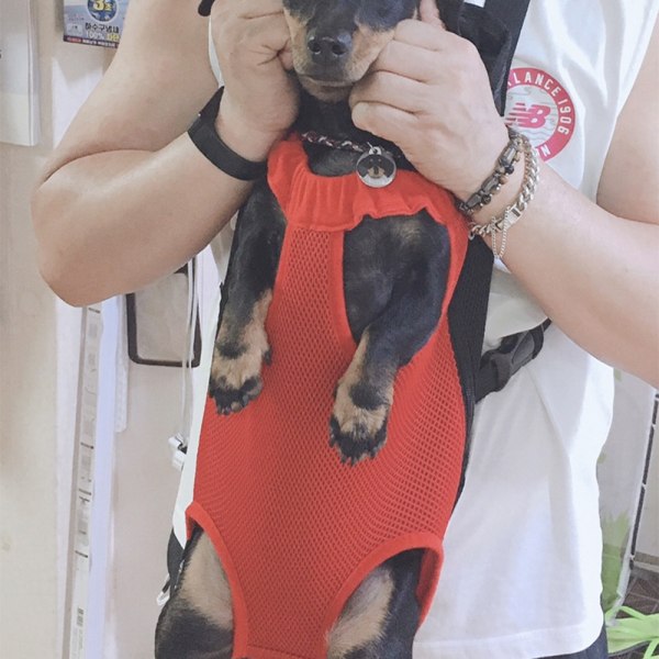 Pet Dog Carrier Ryggsäck Easy-Fit Andningsben Utanför Hund Carrier Red XL