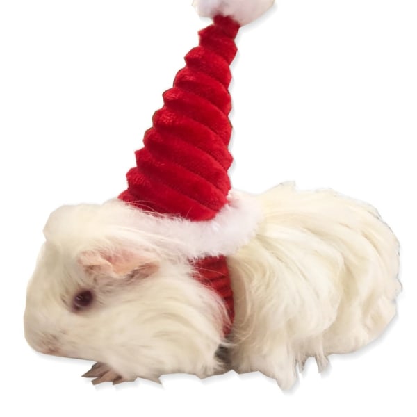 Lizard Tomte Hatt Kanin Withscarf Juldräkt 02