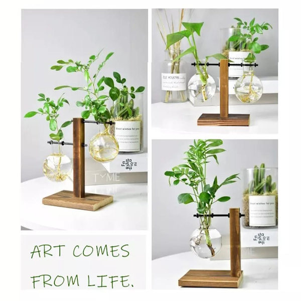 Hydroponisk Transparent Glas Vas Planter Träram Blomma Va C One-size