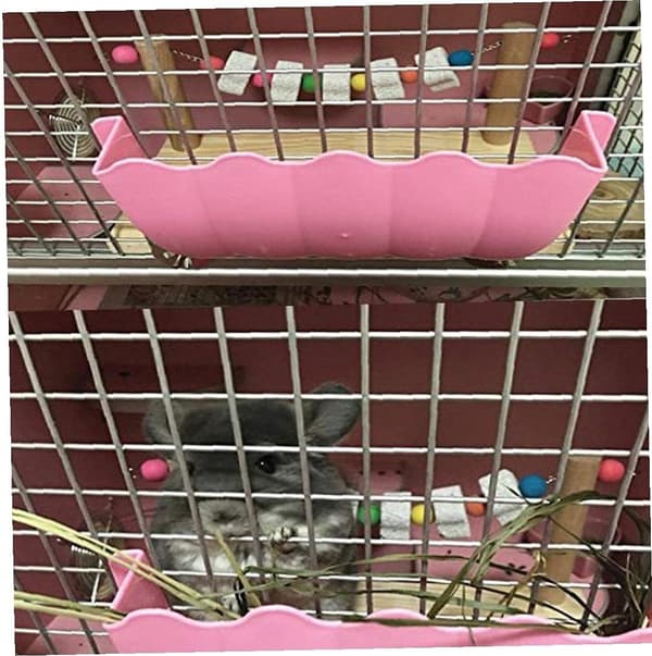Træ kæledyrs afsatser Chinchilla hamster papegøje træplatform