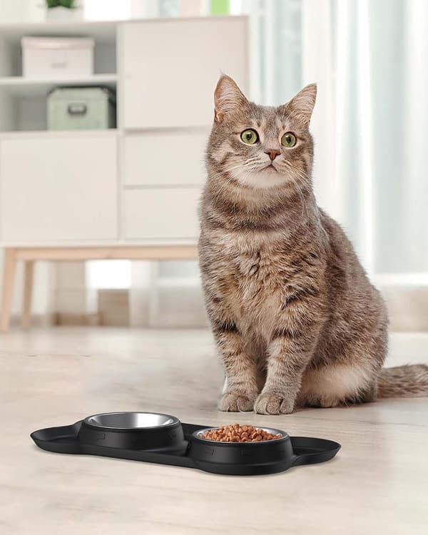 Liten katt- og hundeskål dobbeltskål med silikon Mattskål for katt 36*21 cm svart