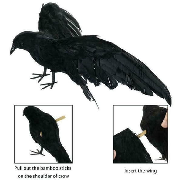 2st Halloween Uppstoppad fjäderkråkfågel Svarta korpar