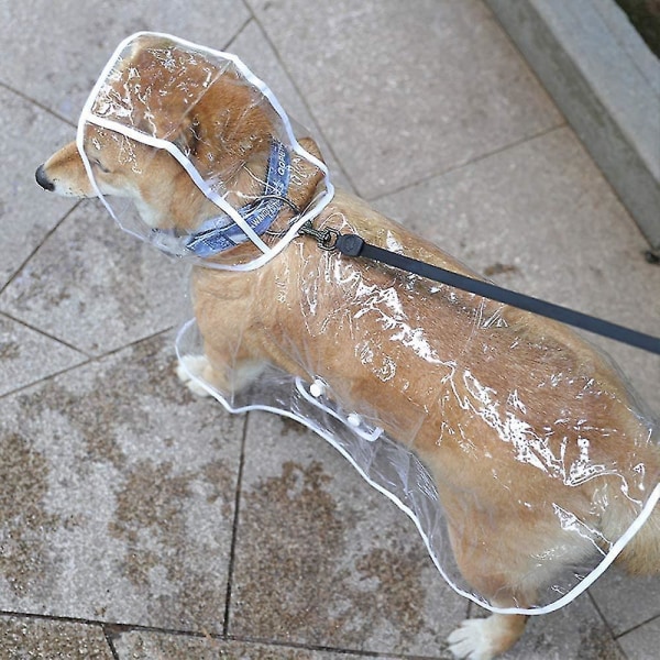 Sadetakki koirille ja kissoille hupulla, säädettävä, PVC, läpinäkyvä, vedenpitävä