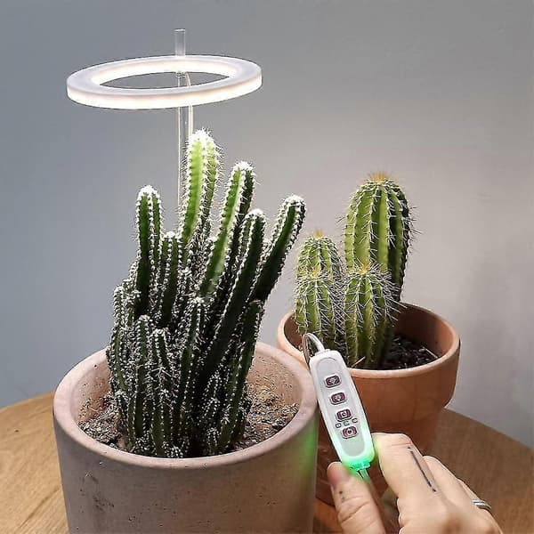 LED-vækstlys Fuld Spektrum Phyto Vækstlampe USB Angel Ring Lampe til sukkulenter, blomsterplanter
