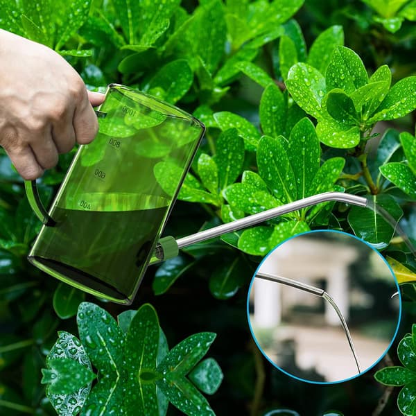 Vandkande til planter, 1L lille vandkande til blomster, plet