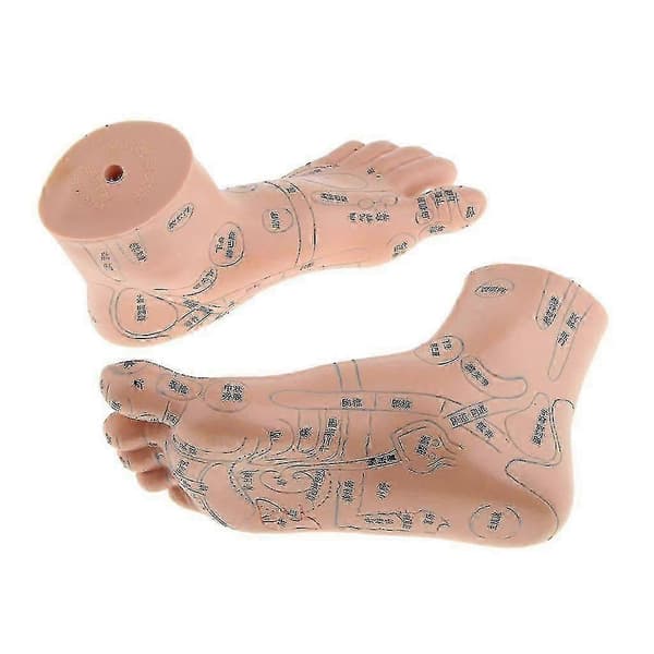 2 Stykker Fodzoneterapi Massage Model Engelsk Kode TCM Fødder Zoneterapi-God