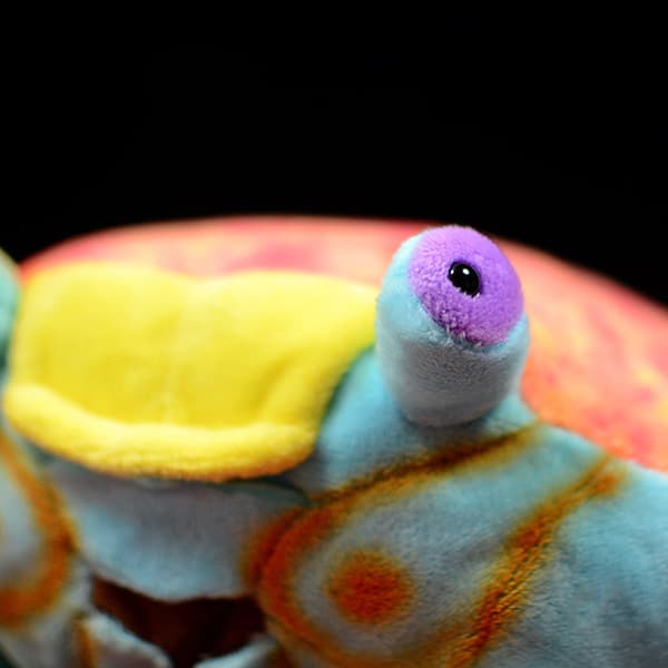 1 st 10,5 tum Real Life Ocean Creatures Red Crabs Plysch
