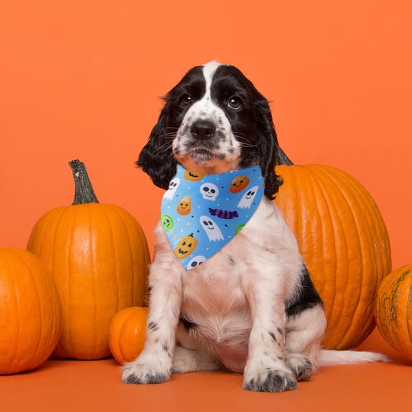 Koselig Halloween bomulls-teppe hund trekant skjerf - Halloween B