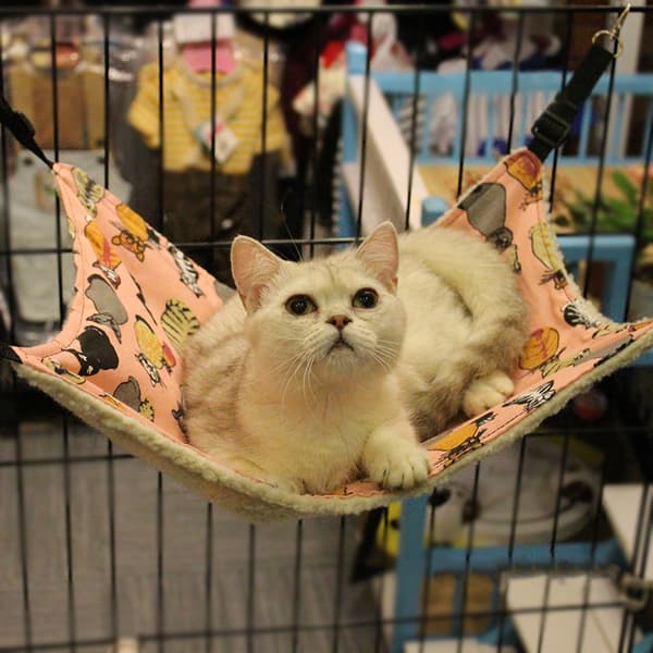 Katthängmatta Plysch kattjärnburhängmatta, Hängande kattlåda katt b