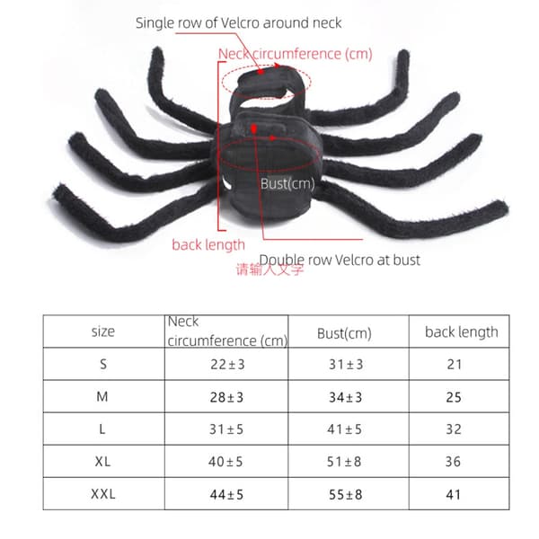 Halloween Mode Kattkläder Spindelkista Husdjur Cosplay black large