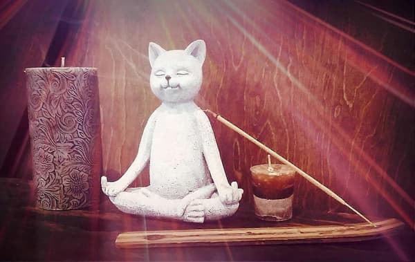 Mug Hagegnomstatue - Langfingerkatt - Innendørs/Utendørs Hage