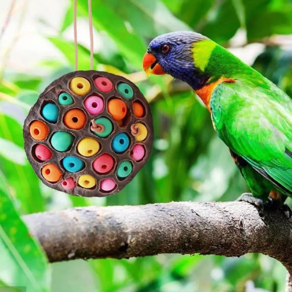 Papegoja födosök leksaker Torkad Lotus Pod Parrot ing Toy Multicolor